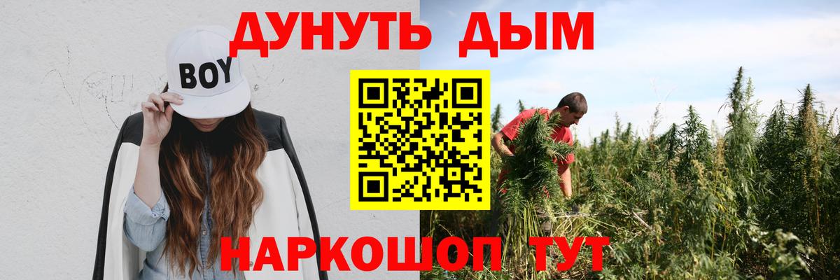 Конопля гибрид Саранск